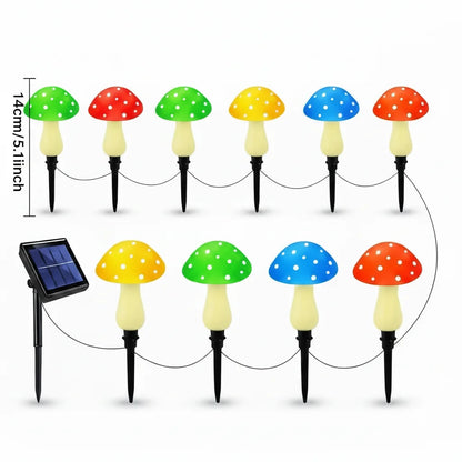 Colourful led mushrooms with mushroom dimensions